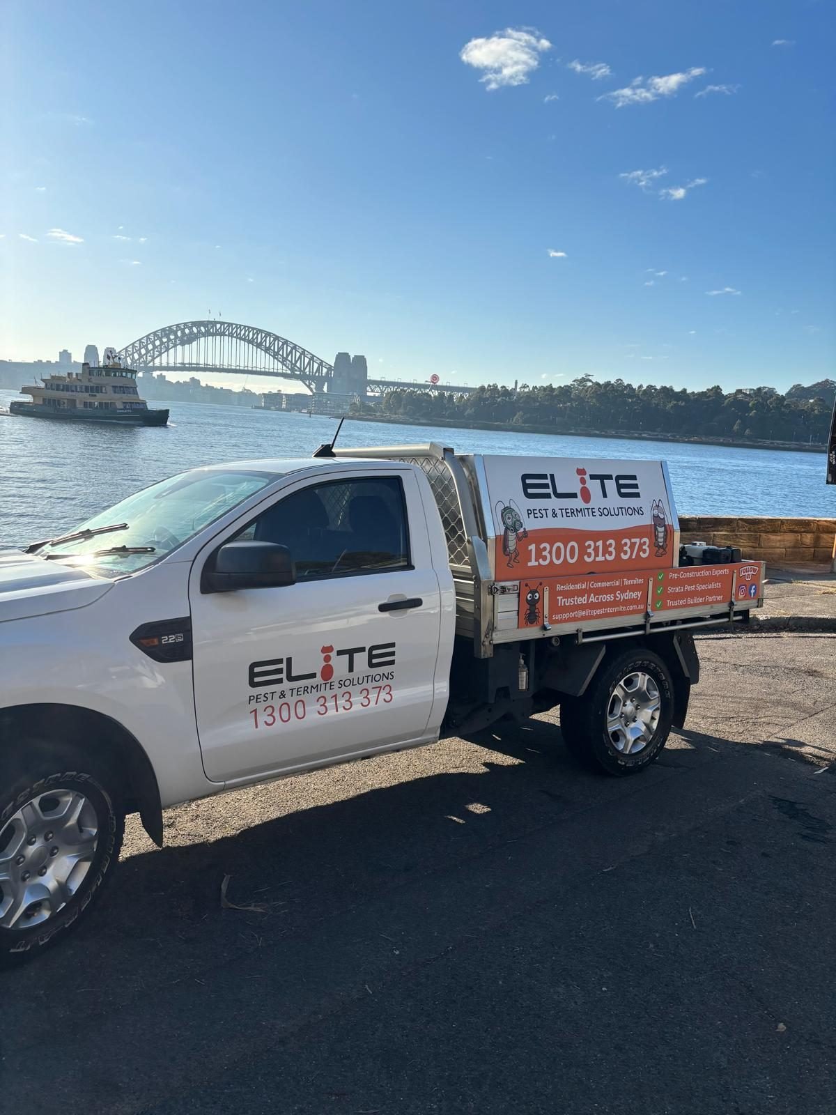 End-of-Lease Pest Control: What Tenants and Landlords Need